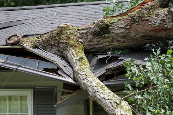 Cost of Storm Remediation in Hudsonville