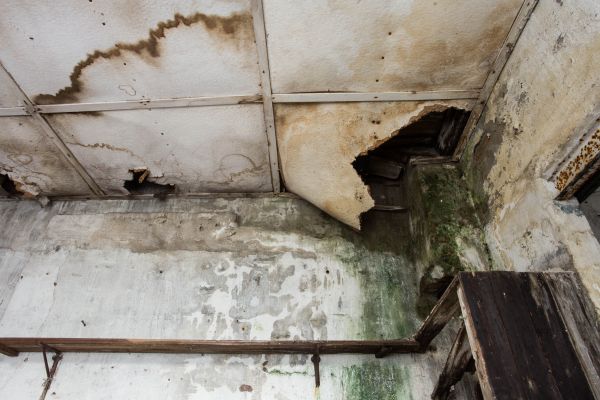Water Damage Service in Hudsonville