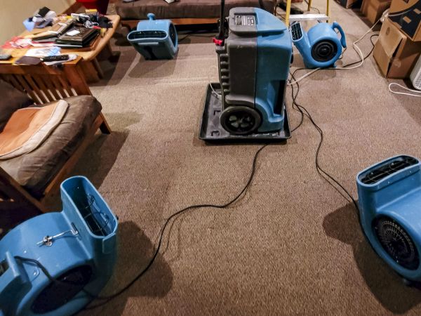 Cost of Flood Damage Recovery in Hudsonville