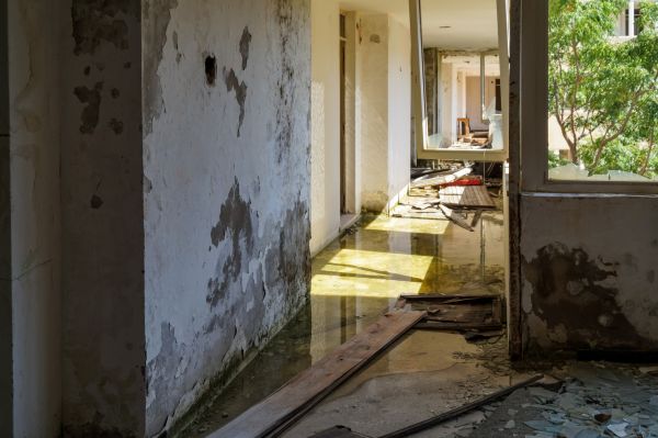Water Removal Service in Hudsonville