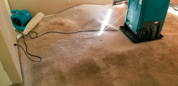 Carpet Water Extraction in Hudsonville