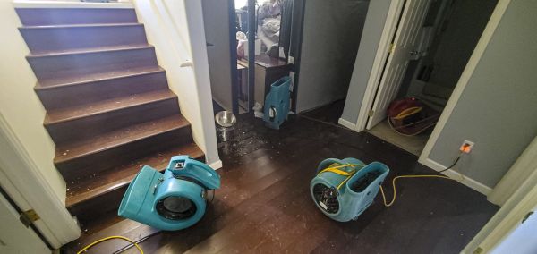 Water Damage Remediation in Hudsonville