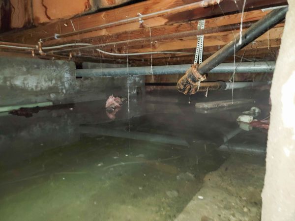 Crawlspace Water Restoration in Hudsonville